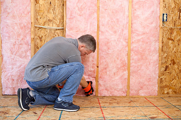 Best Commercial Insulation in Evendale, OH